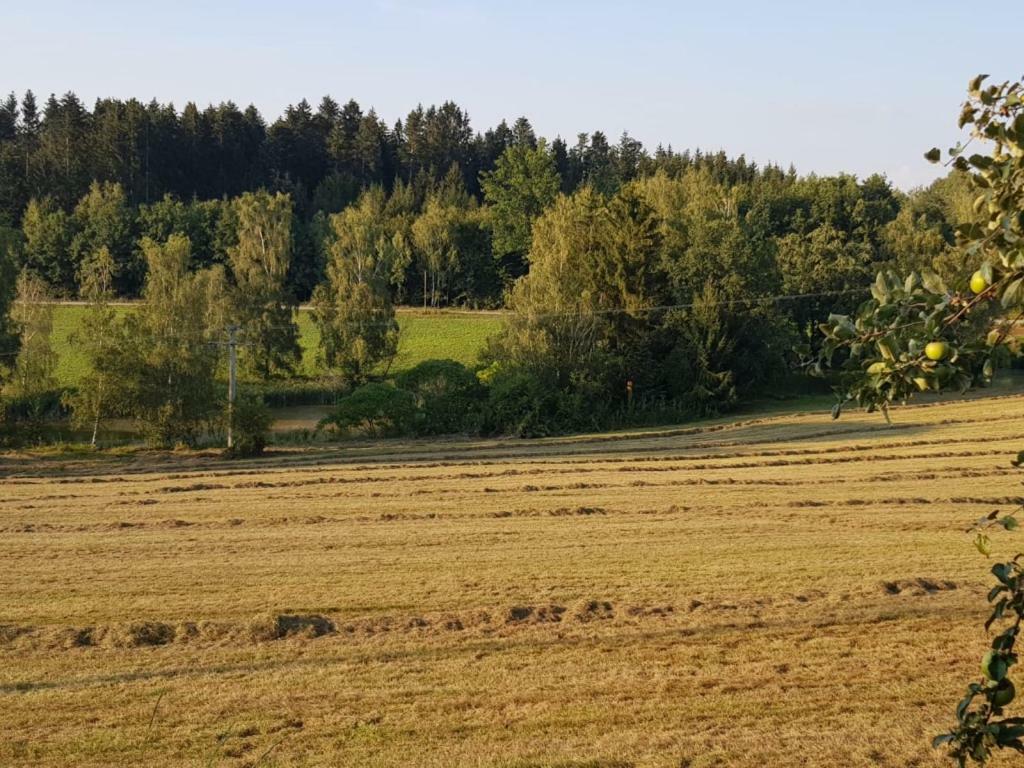 Ferienhof Loew Salzweg Exterior photo