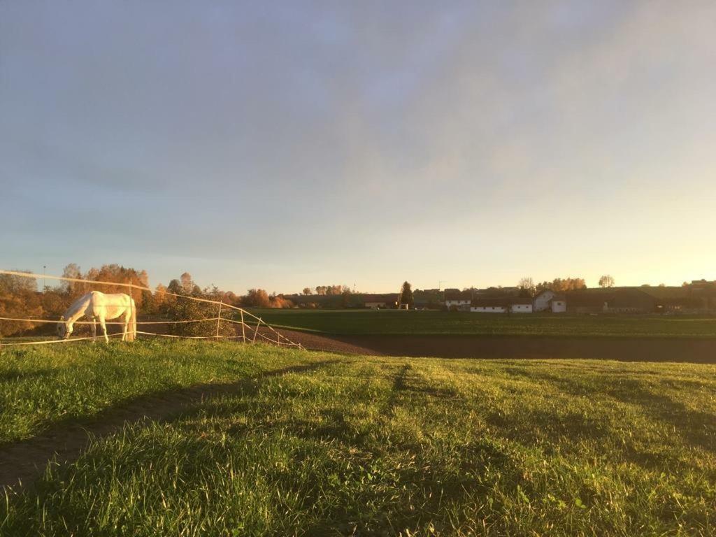 Ferienhof Loew Salzweg Exterior photo